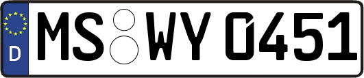 MS-WY0451