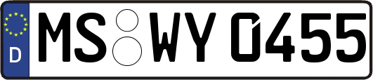 MS-WY0455