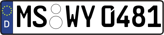 MS-WY0481