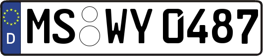 MS-WY0487