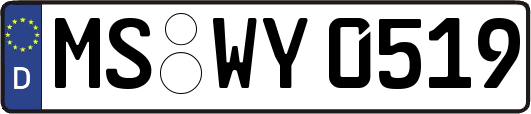 MS-WY0519