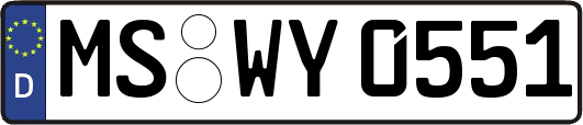 MS-WY0551