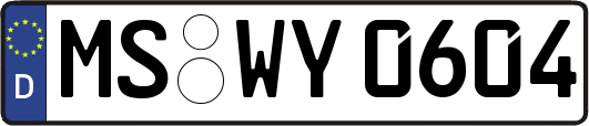 MS-WY0604