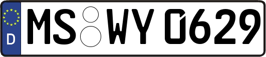 MS-WY0629
