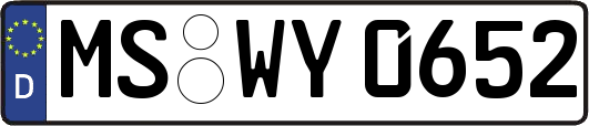 MS-WY0652