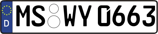 MS-WY0663