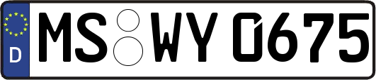 MS-WY0675