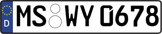 MS-WY0678