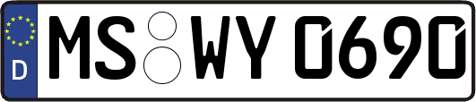 MS-WY0690
