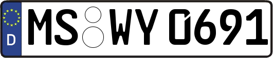 MS-WY0691