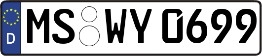 MS-WY0699