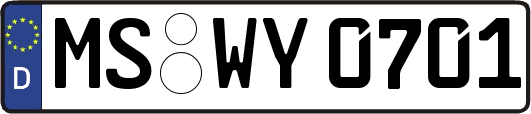 MS-WY0701