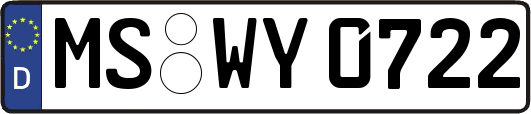 MS-WY0722