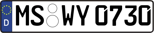 MS-WY0730