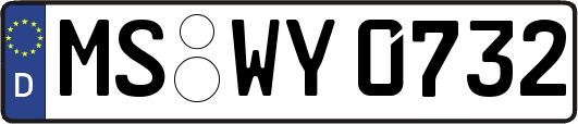 MS-WY0732