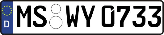 MS-WY0733