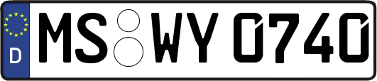 MS-WY0740