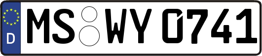 MS-WY0741