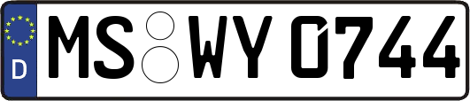 MS-WY0744