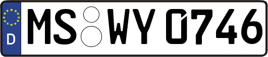 MS-WY0746