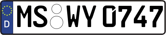 MS-WY0747