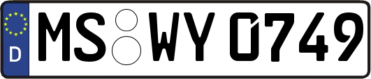 MS-WY0749