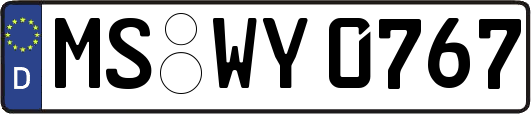 MS-WY0767