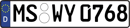 MS-WY0768