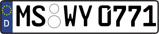 MS-WY0771