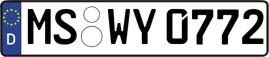 MS-WY0772
