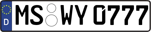 MS-WY0777