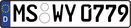 MS-WY0779