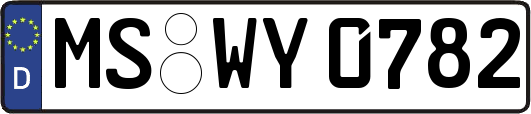 MS-WY0782