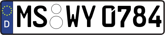 MS-WY0784