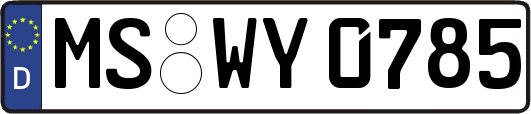 MS-WY0785