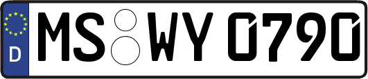 MS-WY0790