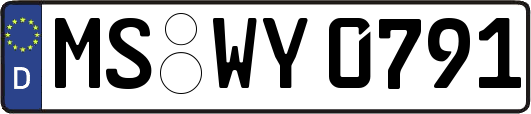 MS-WY0791