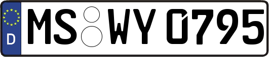 MS-WY0795