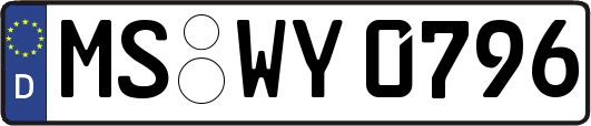 MS-WY0796