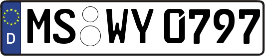 MS-WY0797