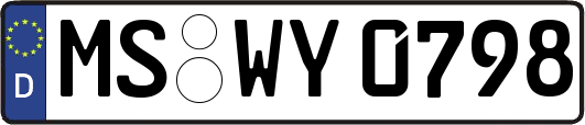 MS-WY0798