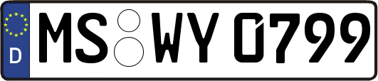 MS-WY0799