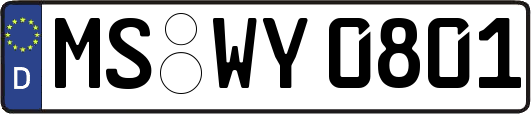 MS-WY0801