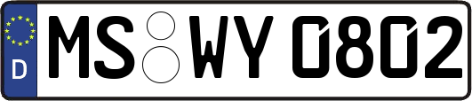 MS-WY0802
