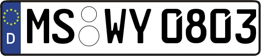 MS-WY0803