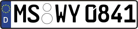 MS-WY0841