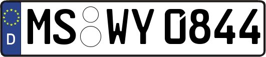 MS-WY0844