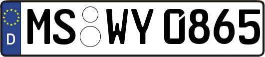 MS-WY0865
