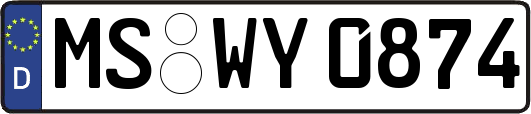 MS-WY0874
