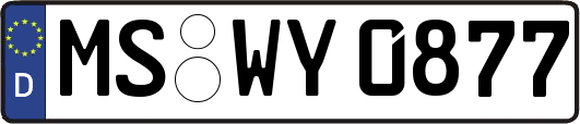 MS-WY0877